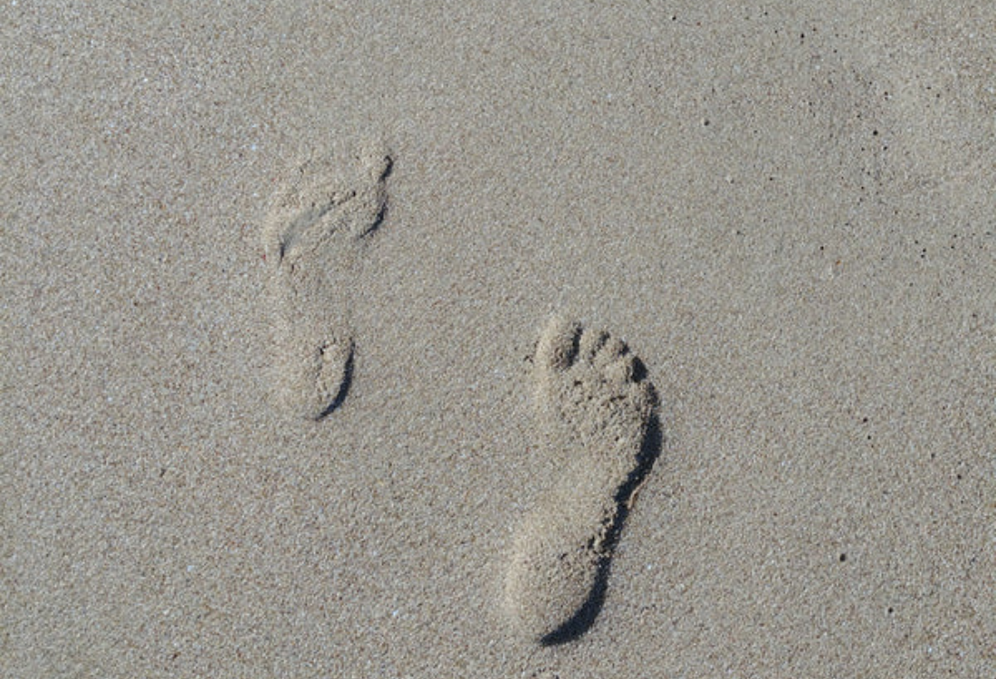 ההיסטוריה של המחר