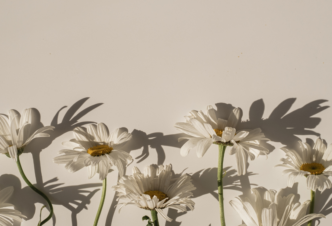 מתנה לאמא מהבת שלה