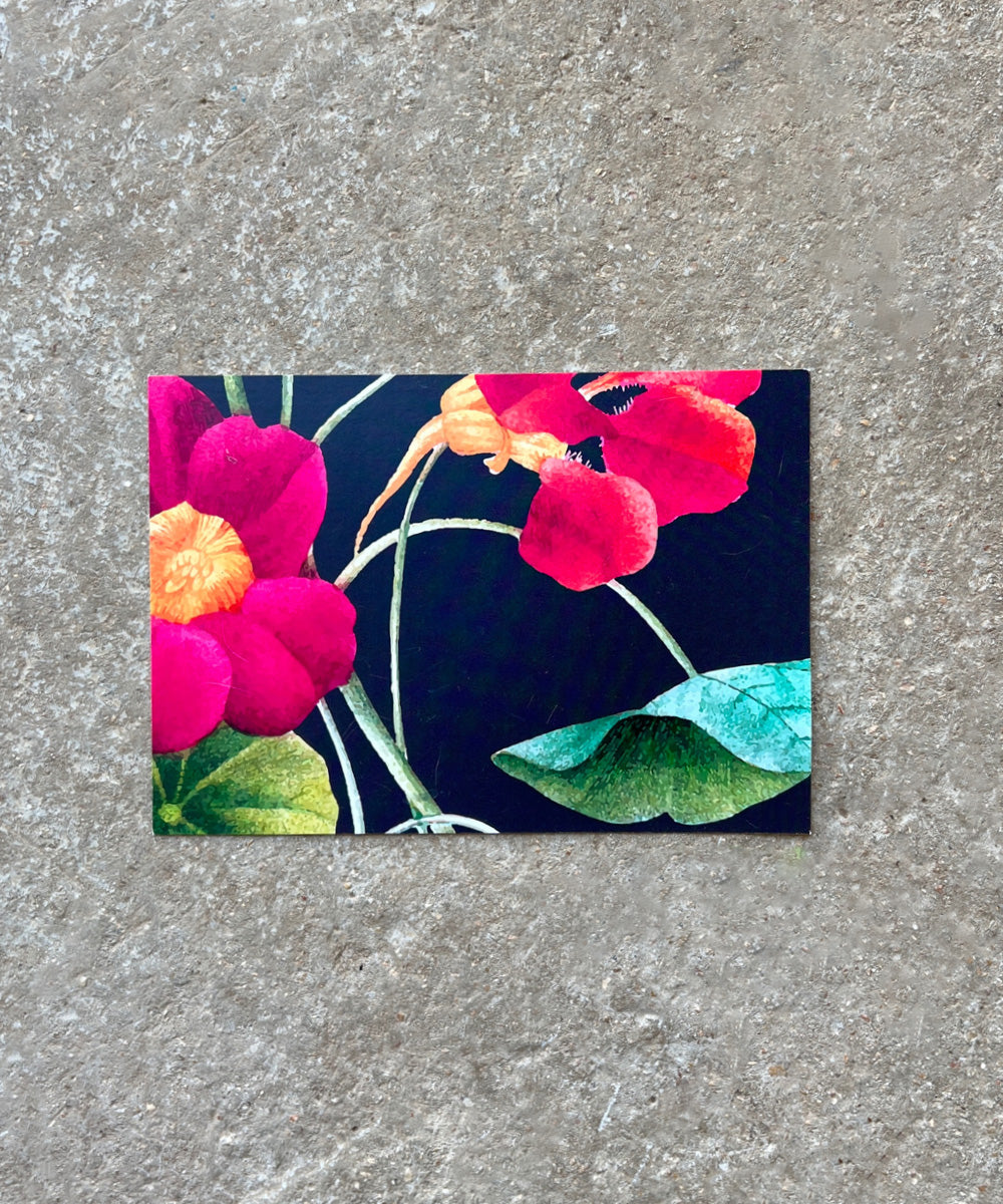 כרטיס ברכה אמזונס