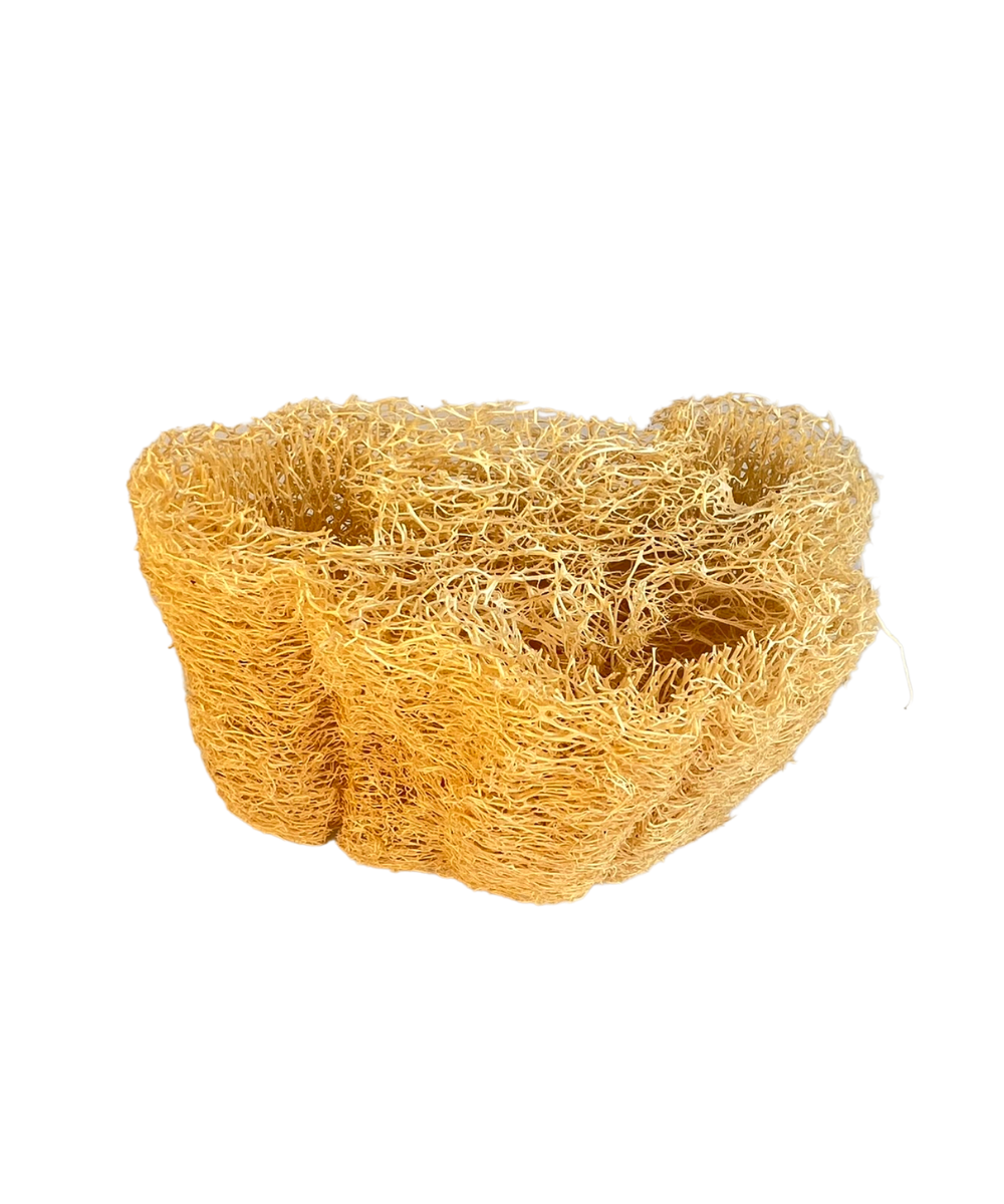 ליפה צמחית - סקוץ' טבעי