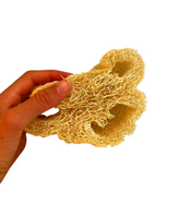 ליפה צמחית - סקוץ' טבעי