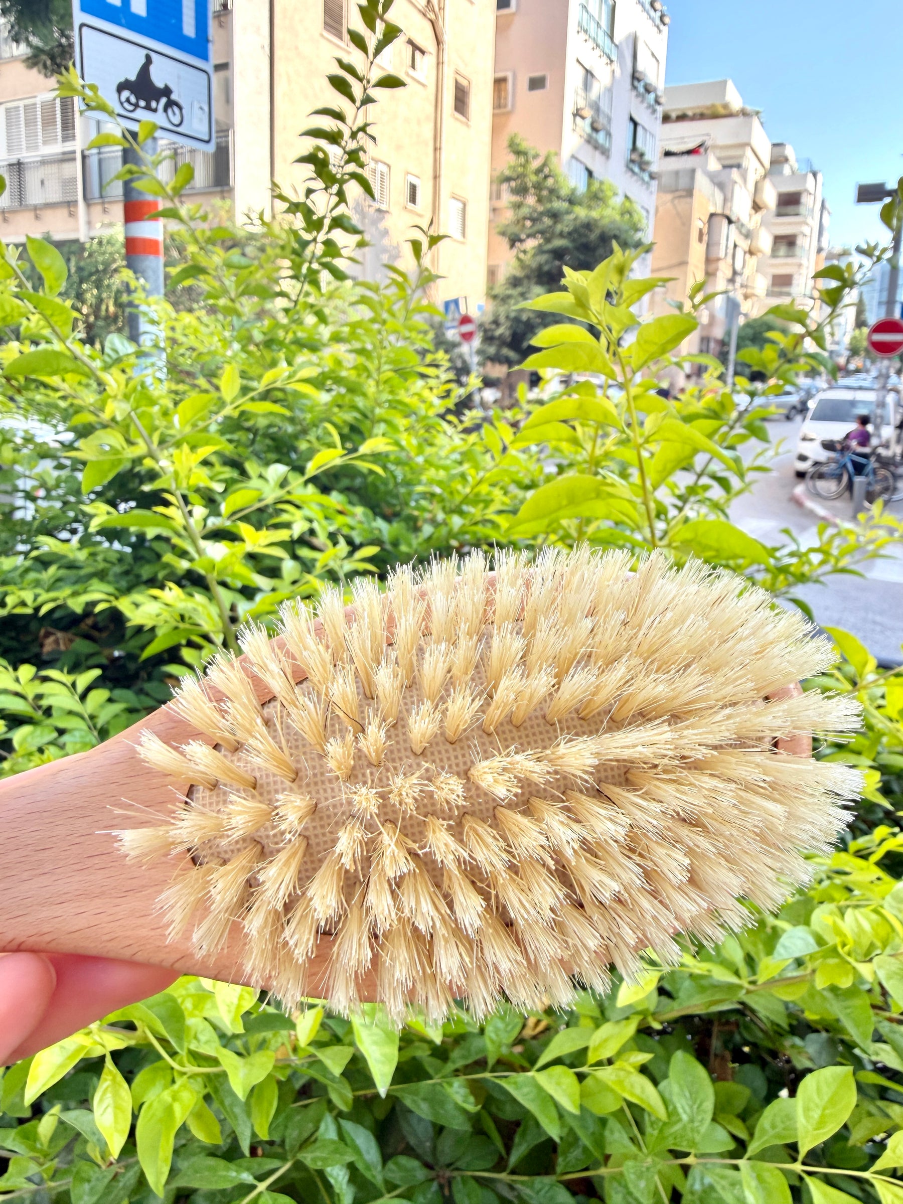 מברשת בור בריסטל