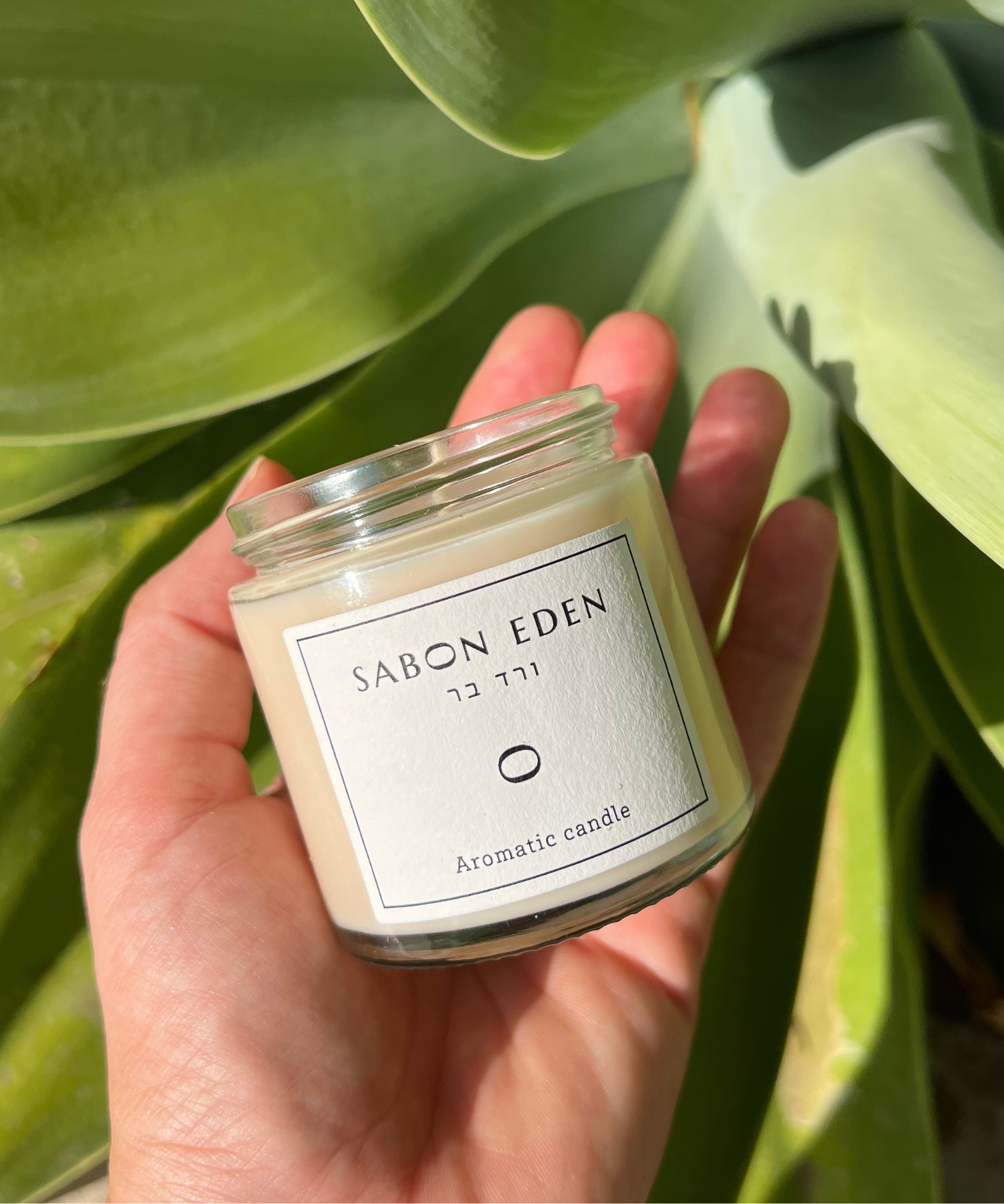 נר ריחני ורד הבר