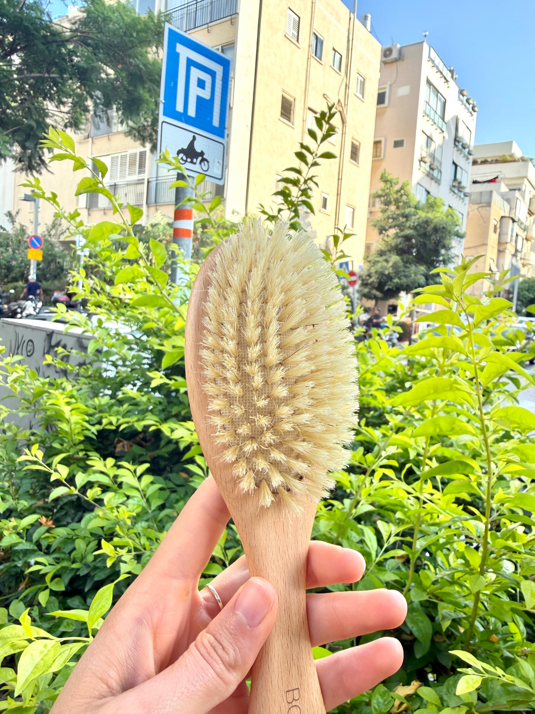 מברשת בור בריסטל