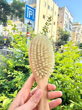 מברשת בור בריסטל